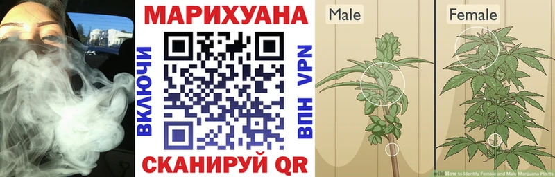 Магазины продажи наркотиков Северская Канабис  Героин  А ПВП  omg ТОР  МЕФ  Гашиш 