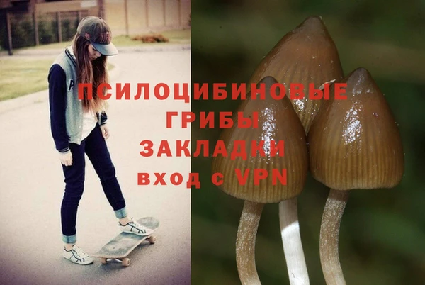 СК Алексеевка