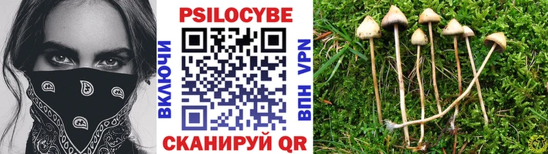 закладки  Северская  Псилоцибиновые грибы ЛСД 